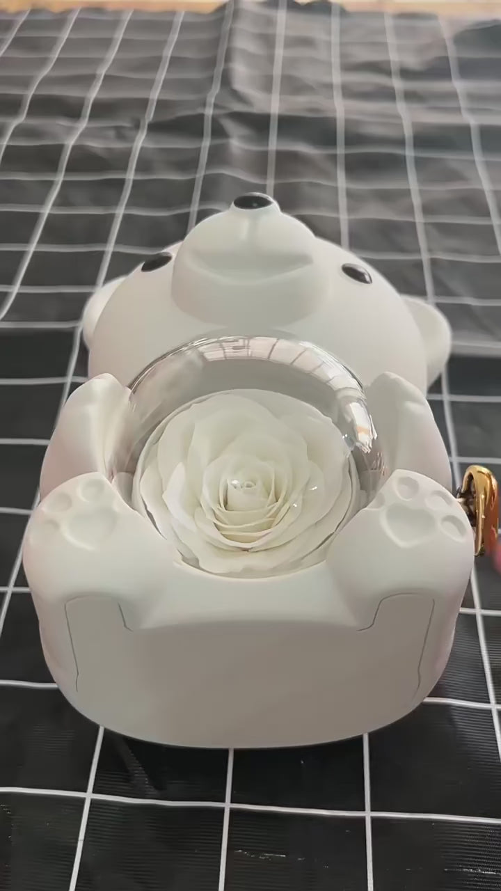 Rose Teddy Bear With Engraved Necklace